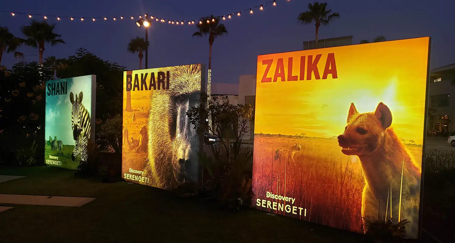 Discovery-04-Serengeti_Wallis-Center-2019-Glow-Exhibitions-Events-Experiences-Projects-Large