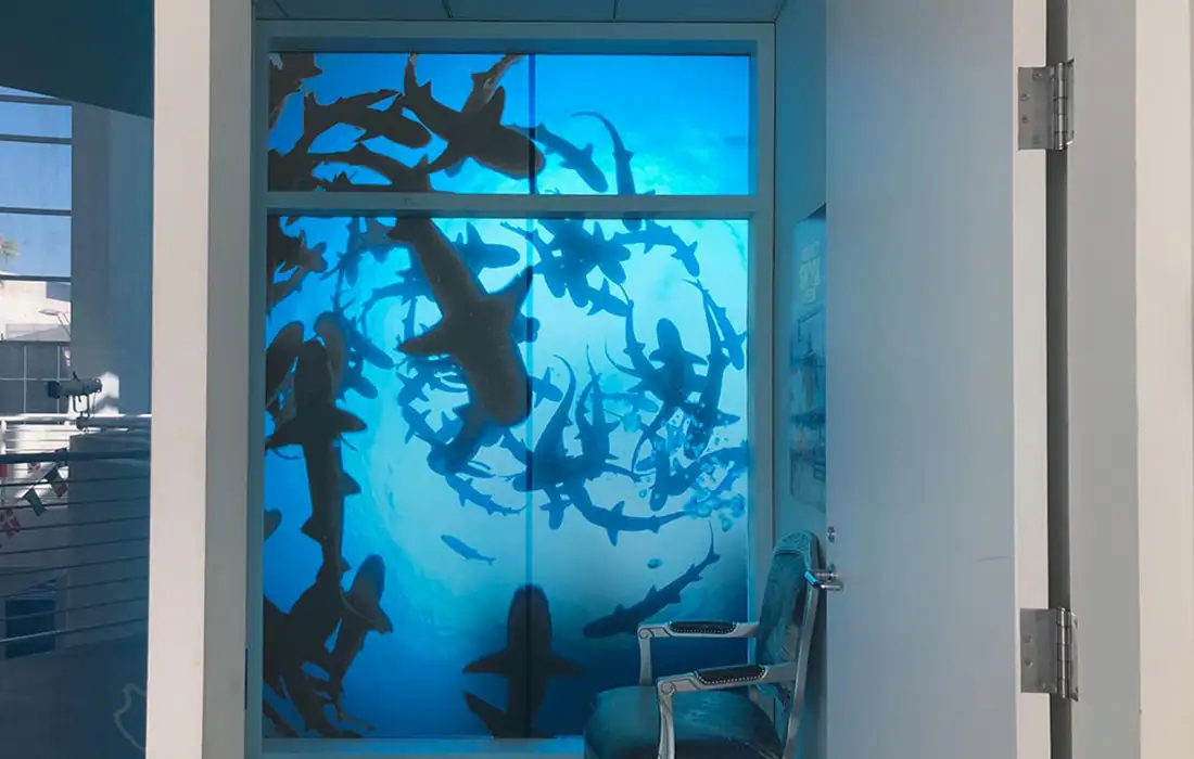 Discovery-Shark-Week_Paley-Center-2019-sharks-circling-Glow-Exhibitions-Events-Experiences